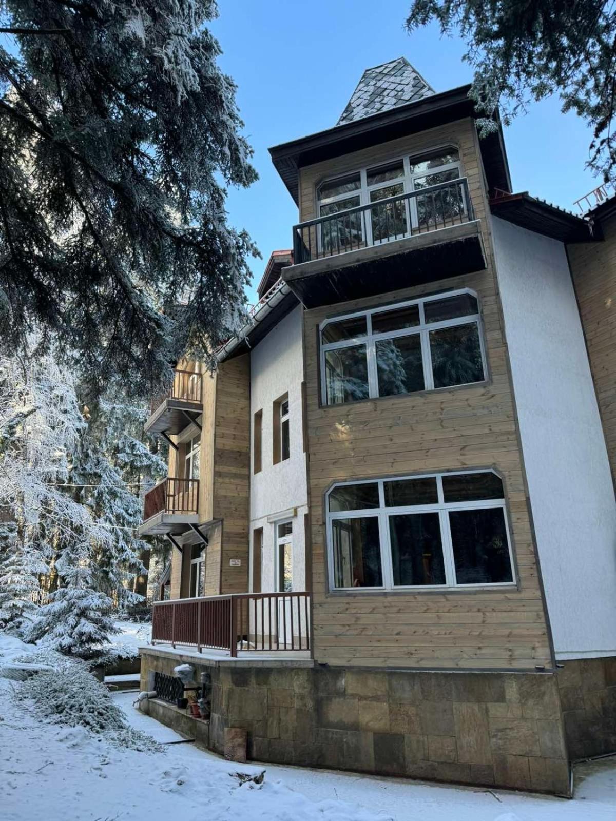 The Forest Villa بوروفتس المظهر الخارجي الصورة