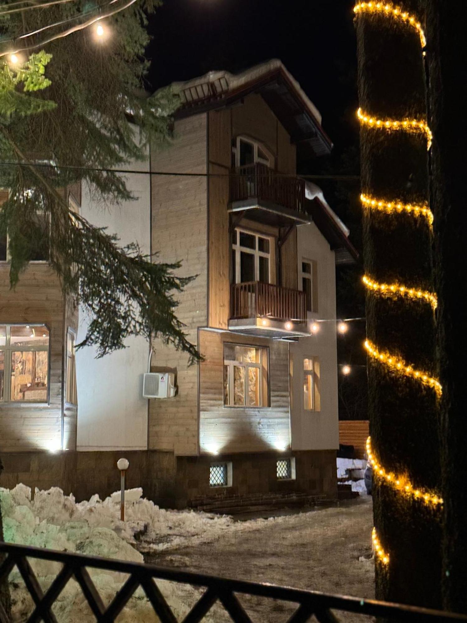 The Forest Villa بوروفتس المظهر الخارجي الصورة