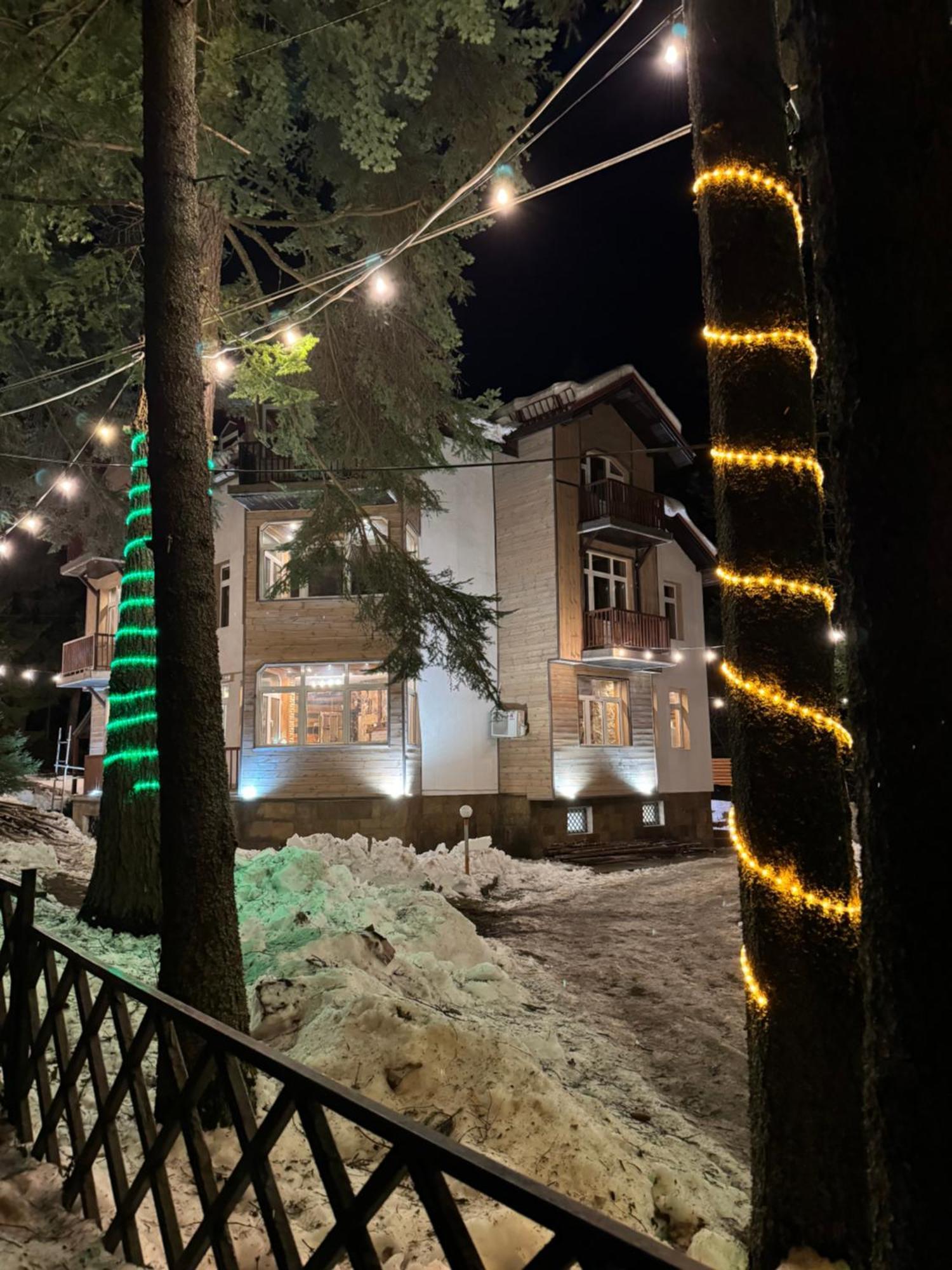 The Forest Villa بوروفتس المظهر الخارجي الصورة